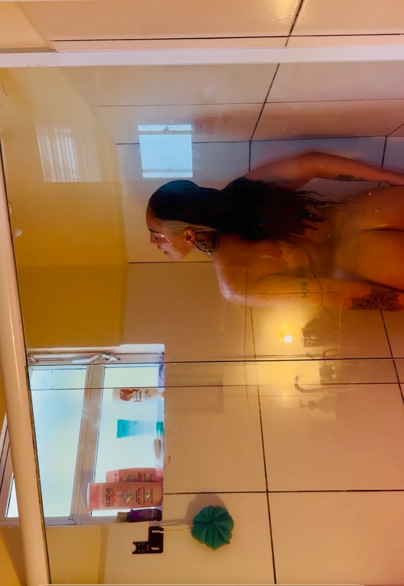 Latinanyx photo 2